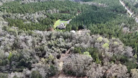 View/Area - 1252 Noel Eubanks Rd, Lucedale, MS 39452 photo 2 of 4