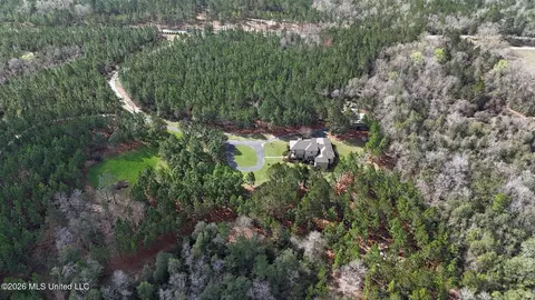 Other - 1252 Noel Eubanks Rd, Lucedale, MS 39452 photo 12 of 19