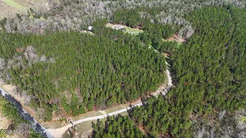 Other - 1252 Noel Eubanks Rd, Lucedale, MS 39452 photo 9 of 19