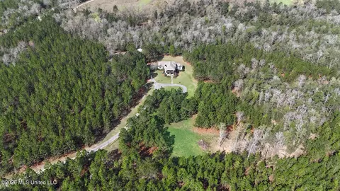 Other - 1252 Noel Eubanks Rd, Lucedale, MS 39452 photo 14 of 19