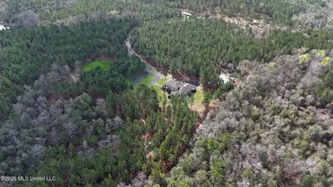 Other - 1252 Noel Eubanks Rd, Lucedale, MS 39452 photo 11 of 19