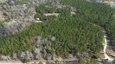 View/Area - 1252 Noel Eubanks Rd, Lucedale, MS 39452 photo 1 of 4