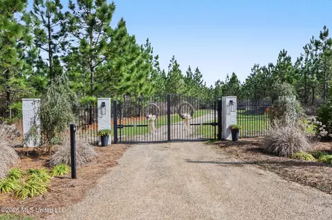 Other - 1252 Noel Eubanks Rd, Lucedale, MS 39452 photo 8 of 19