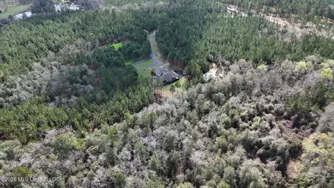 View/Area - 1252 Noel Eubanks Rd, Lucedale, MS 39452 photo 3 of 4