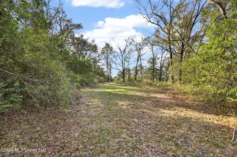 Other - 211 Depot Rd, Lucedale, MS 39452 photo 2 of 8