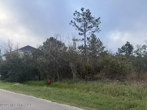 Old Lazy River Road, Bay Saint Louis, MS 39520