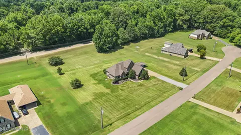 View/Area - 10080 Green Forest Dr, Hernando, MS 38632 photo 2 of 7