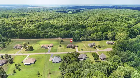 View/Area - 10080 Green Forest Dr, Hernando, MS 38632 photo 7 of 7