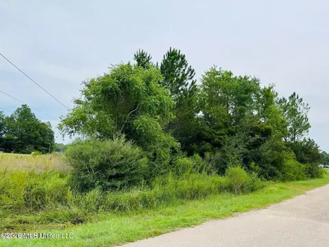 19092 W Clairmonte St, Saucier, MS 39574 photo 3