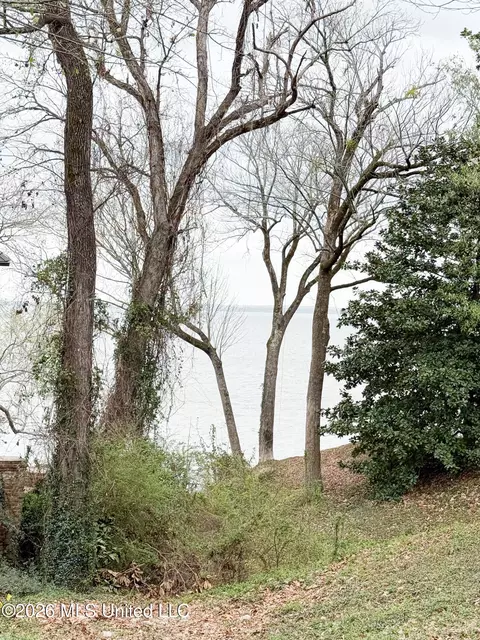 View/Area - 107 Lakepointe Dr, Madison, MS 39110 photo 2 of 2