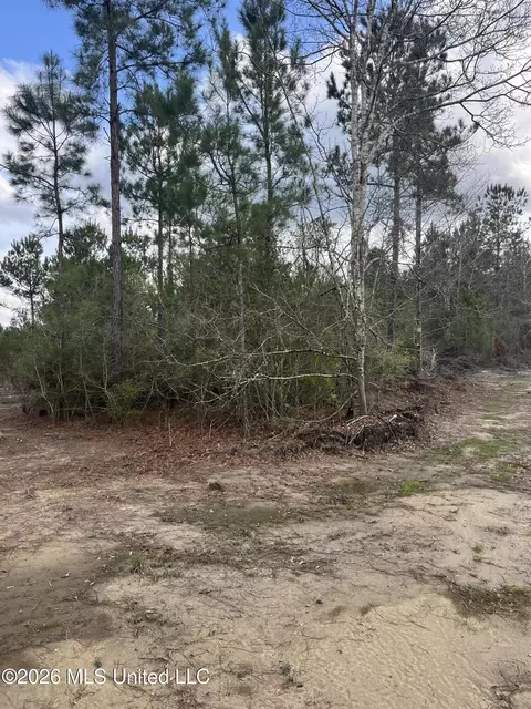 W Wortham Road, Saucier, MS 39574 photo 13