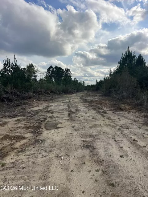 W Wortham Road, Saucier, MS 39574 photo 12