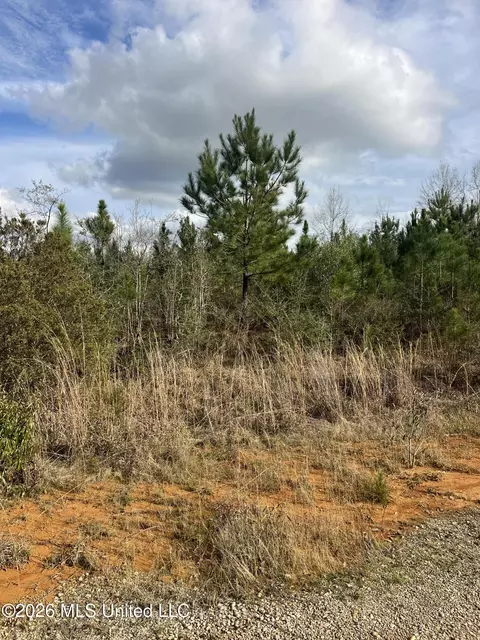 W Wortham Road, Saucier, MS 39574 photo 3