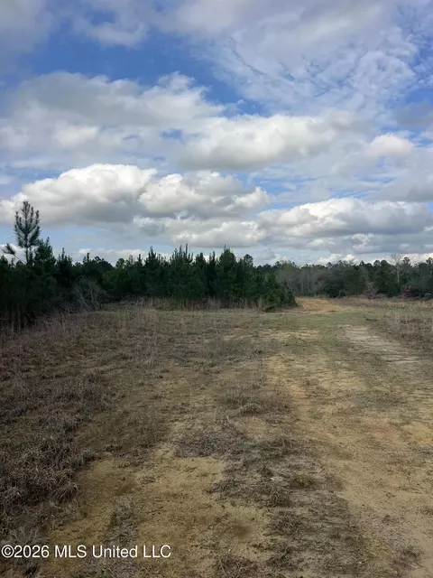 W Wortham Road, Saucier, MS 39574 photo 10