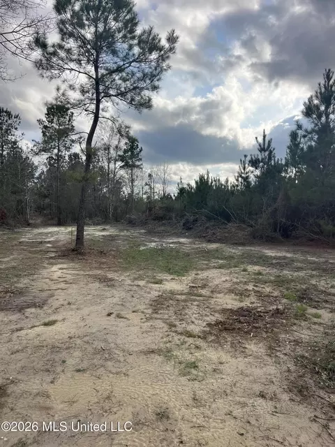 W Wortham Road, Saucier, MS 39574 photo 14