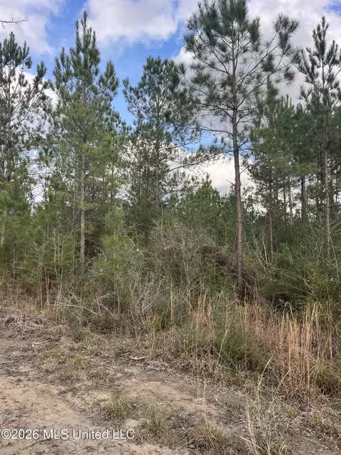 W Wortham Road, Saucier, MS 39574 photo 16
