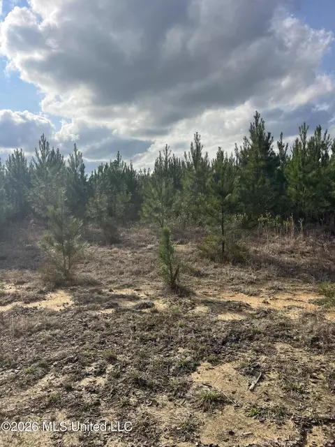 W Wortham Road, Saucier, MS 39574 photo 8