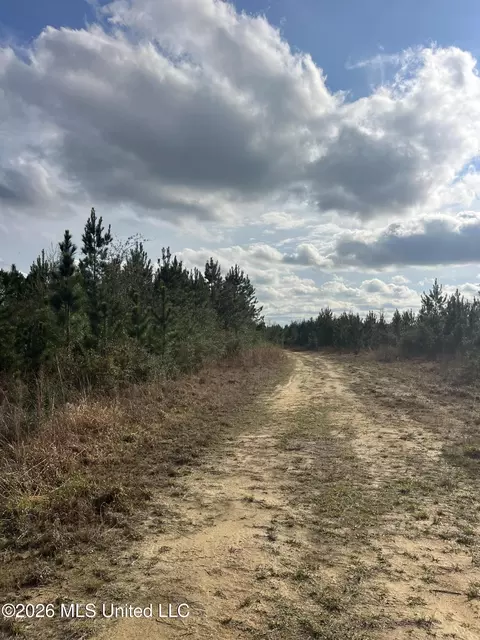 W Wortham Road, Saucier, MS 39574 photo 4