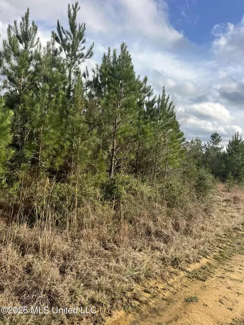 W Wortham Road, Saucier, MS 39574 photo 5