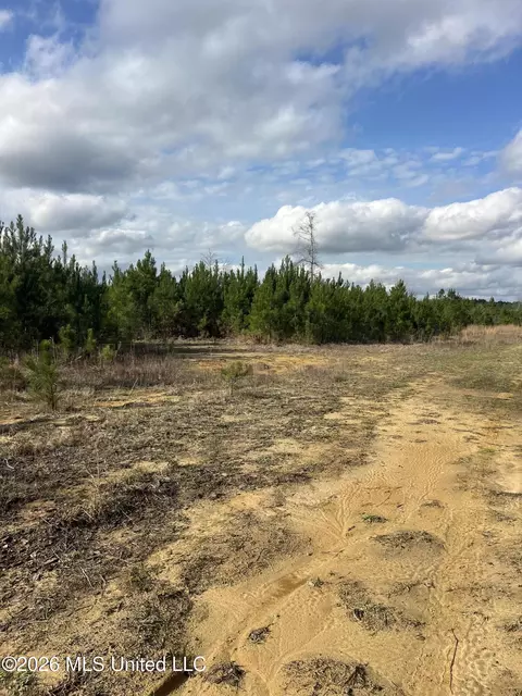 W Wortham Road, Saucier, MS 39574 photo 7