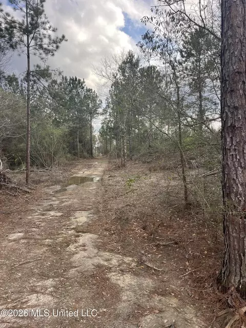 W Wortham Road, Saucier, MS 39574 photo 15