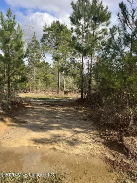 W Wortham Road, Saucier, MS 39574 photo 6