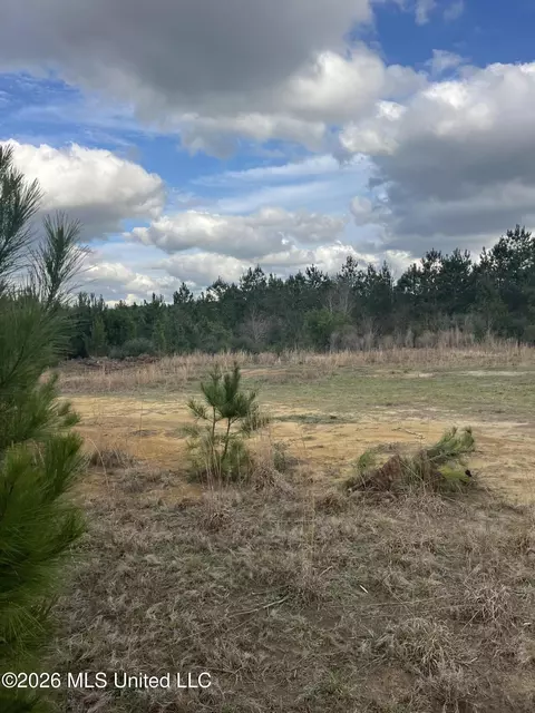 W Wortham Road, Saucier, MS 39574 photo 11
