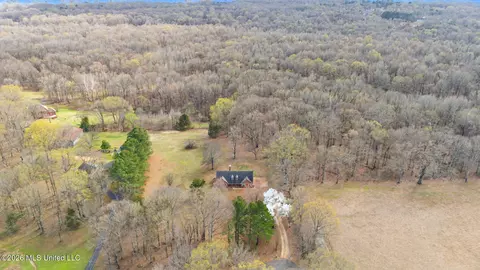 Other - 3461 Amy Dr, Nesbit, MS 38651 photo 12 of 14