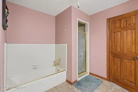 Bath - 3461 Amy Dr, Nesbit, MS 38651 photo 2 of 5