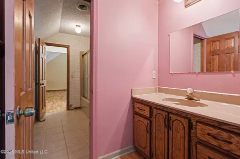 Bath - 3461 Amy Dr, Nesbit, MS 38651 photo 5 of 5