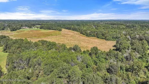 Dry Creek Road, Magee, MS 39111 photo 20