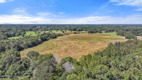 Dry Creek Road, Magee, MS 39111 photo 23