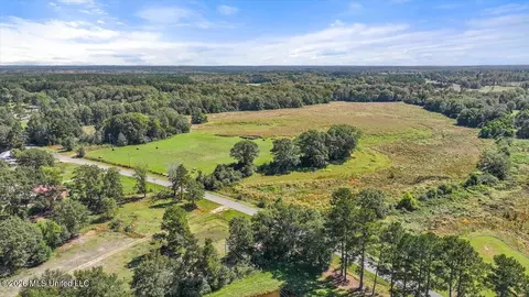 Dry Creek Road, Magee, MS 39111 photo 15
