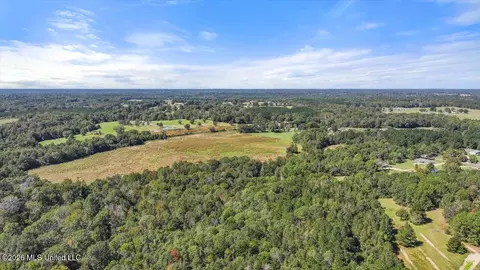 Dry Creek Road, Magee, MS 39111 photo 9