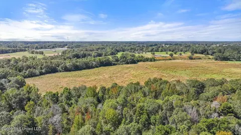 Dry Creek Road, Magee, MS 39111 photo 24