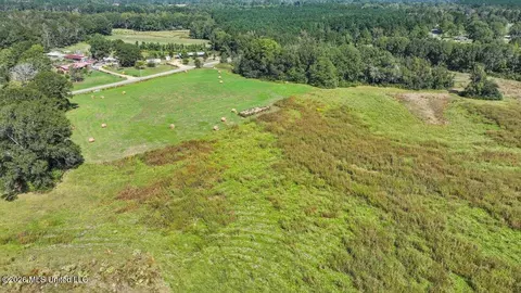 Dry Creek Road, Magee, MS 39111 photo 34