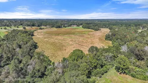 Dry Creek Road, Magee, MS 39111 photo 21
