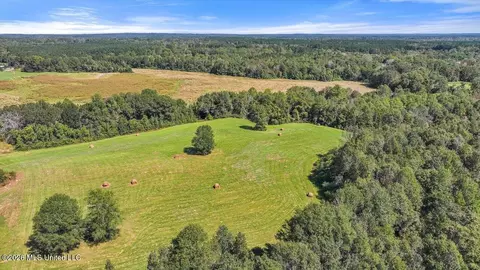 Dry Creek Road, Magee, MS 39111 photo 18