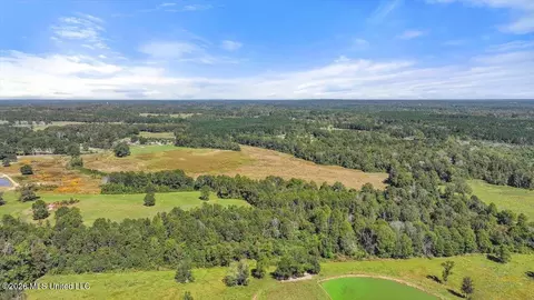 Dry Creek Road, Magee, MS 39111 photo 4