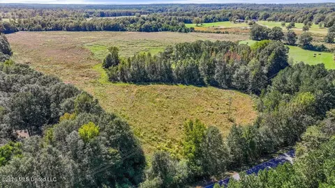 Dry Creek Road, Magee, MS 39111 photo 42