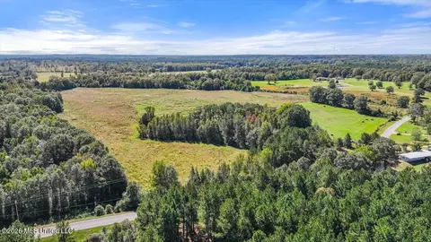 Dry Creek Road, Magee, MS 39111 photo 14