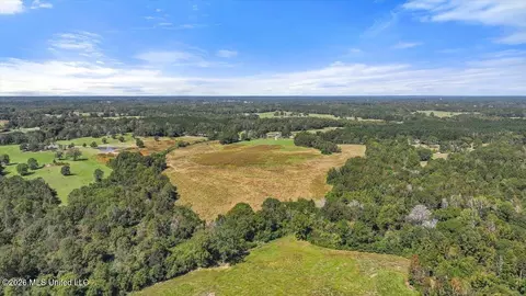 Dry Creek Road, Magee, MS 39111 photo 6