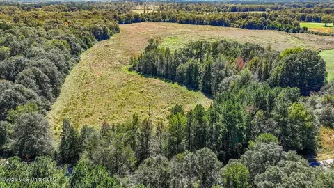 Dry Creek Road, Magee, MS 39111 photo 41