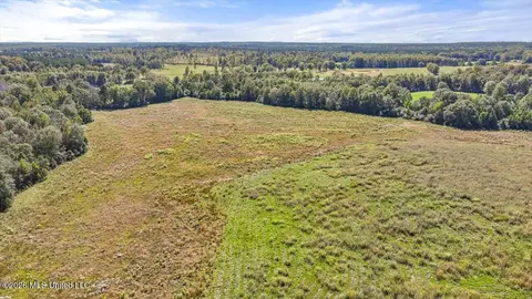 Dry Creek Road, Magee, MS 39111 photo 26