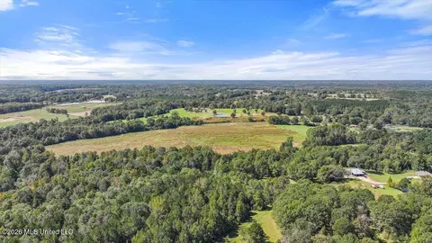 Dry Creek Road, Magee, MS 39111 photo 10