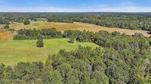 Dry Creek Road, Magee, MS 39111 photo 19