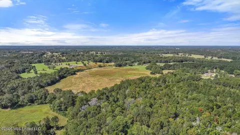 Dry Creek Road, Magee, MS 39111 photo 8