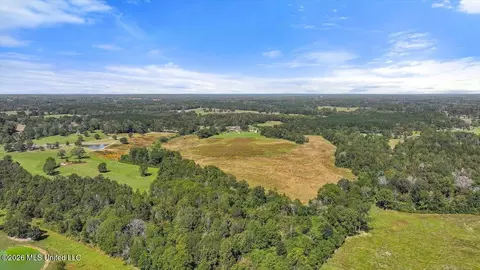 Dry Creek Road, Magee, MS 39111 photo 5