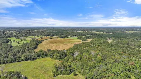 Dry Creek Road, Magee, MS 39111 photo 7