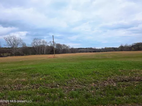 Barr Road, Coldwater, MS 38618 photo 4